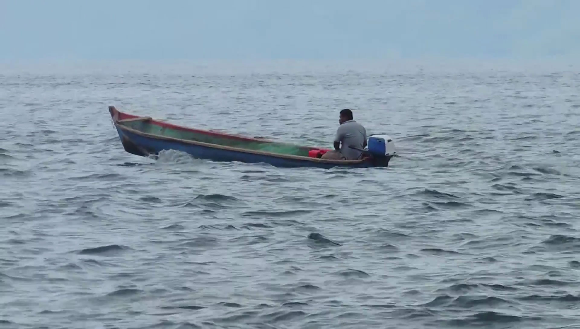 Panama waters : quand la modernisation entraîne le déclin de la population de poissons