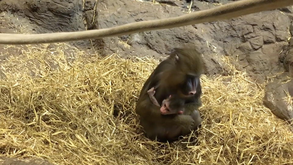 Photo Élisabeth Simard