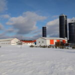 agriculture, produits laitiers,