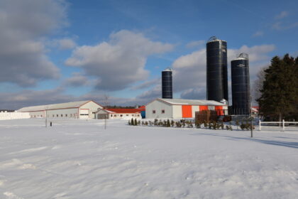 agriculture, produits laitiers,